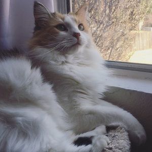 Meet your Posher, Huazhen